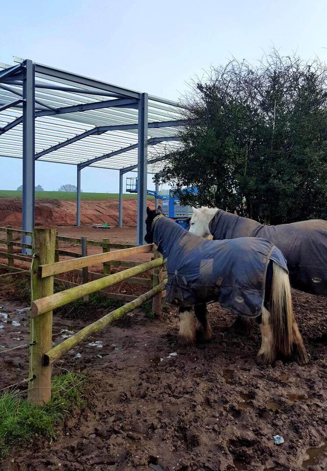 New Equestrian Centre Cannock Chase Trekking Centre