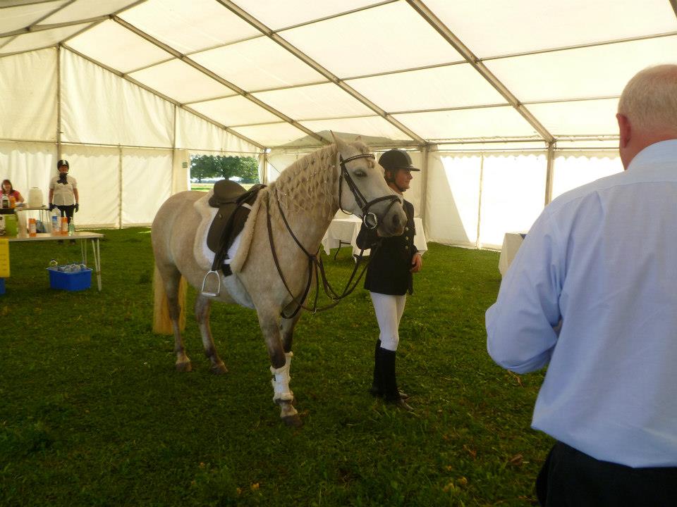 Princess Cannock Chase Trekking Centre