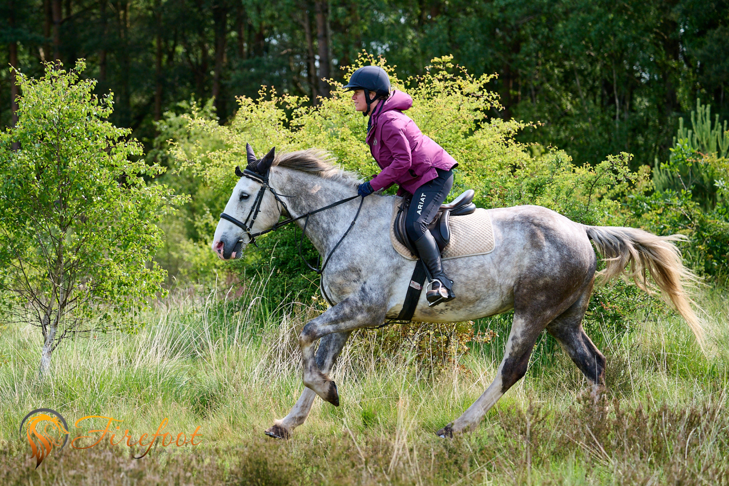 Casper - Cannock Chase Trekking Centre