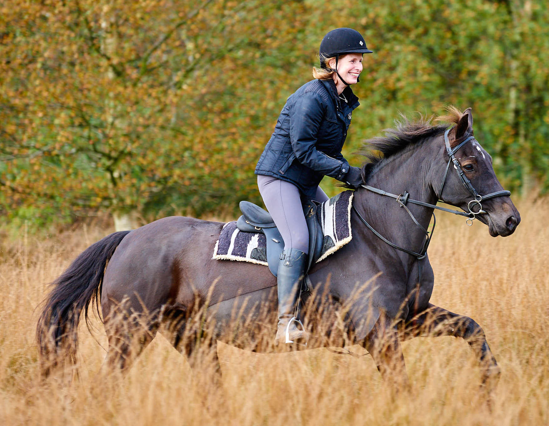 Gabriel Cannock Chase Trekking Centre
