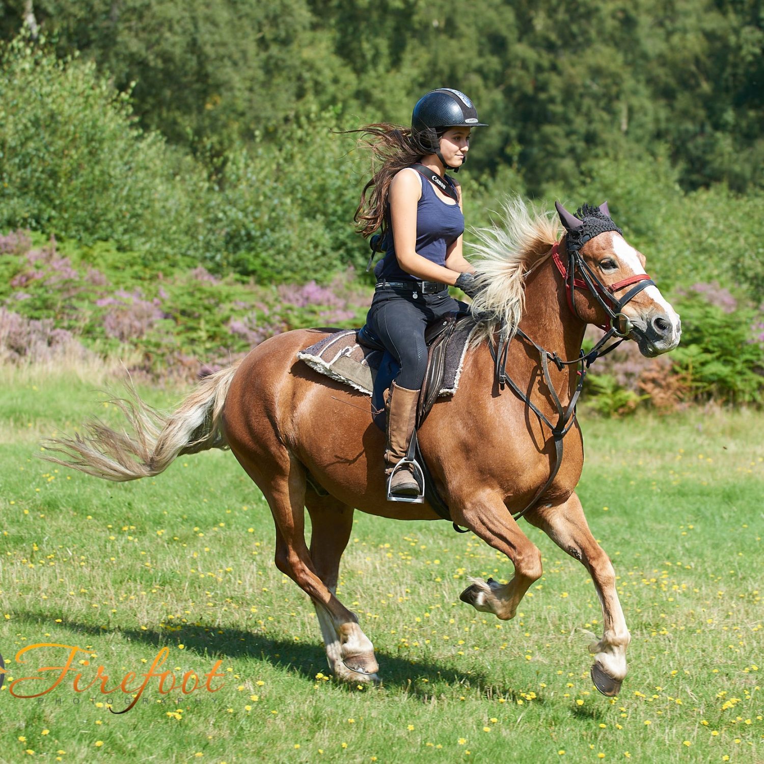 Chase Cannock Chase Trekking Centre