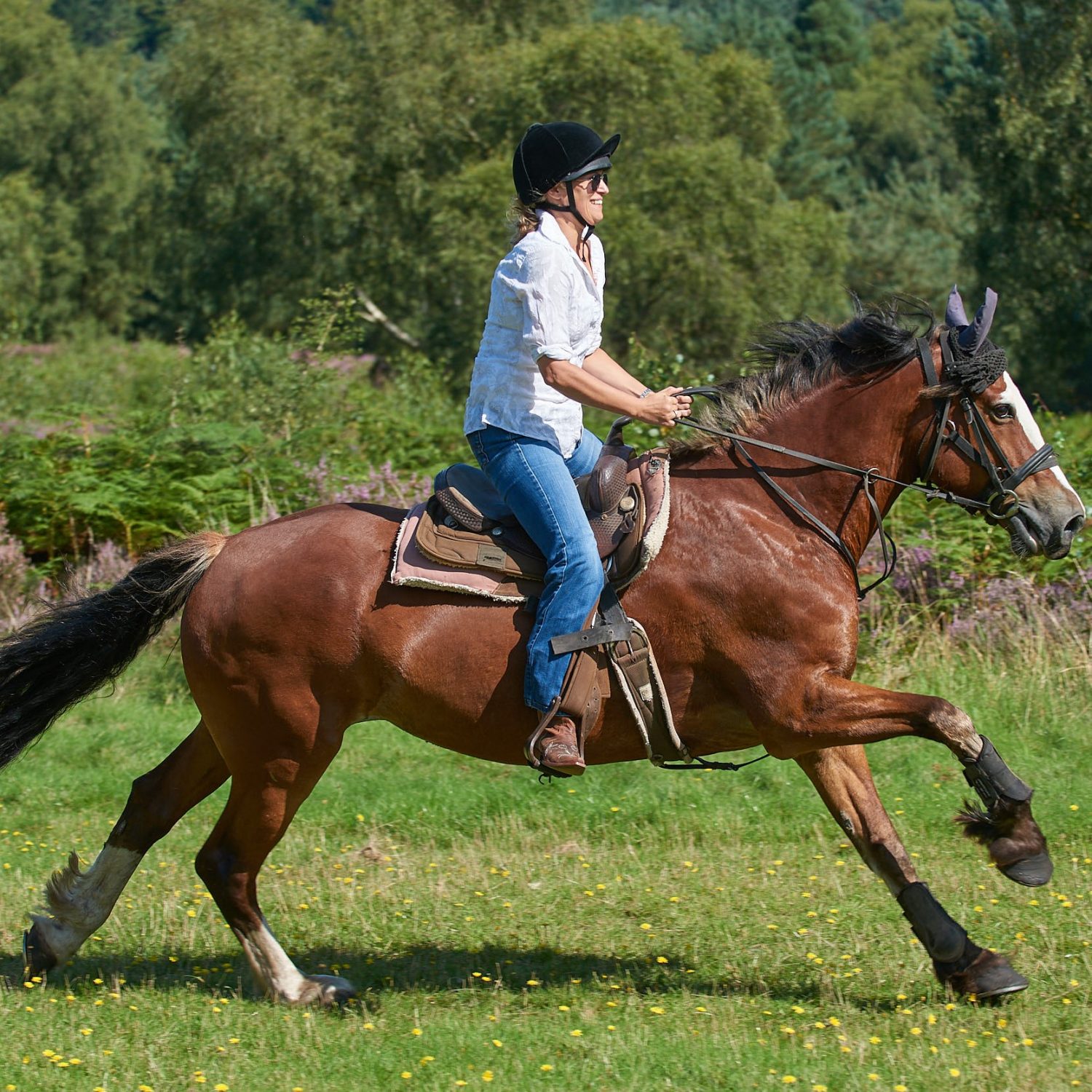 Beau Cannock Chase Trekking Centre
