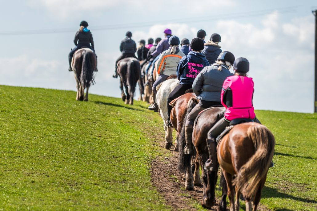 1 Hour Introductory Ride Cannock Chase Trekking Centre