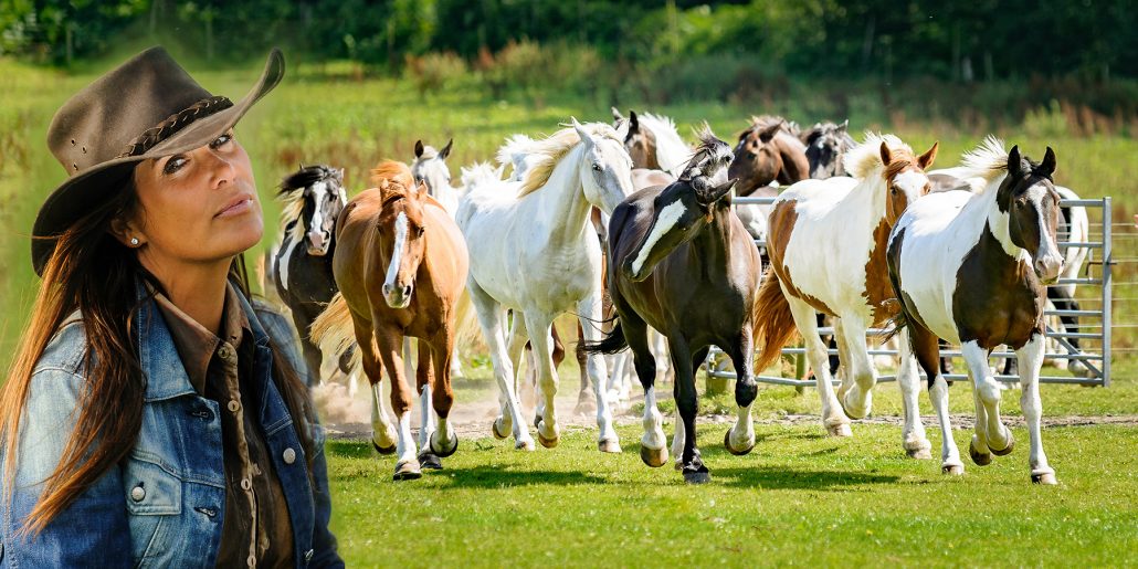 Cannock Chase Trekking Centre The ultimate experience of horse riding lessons and pony