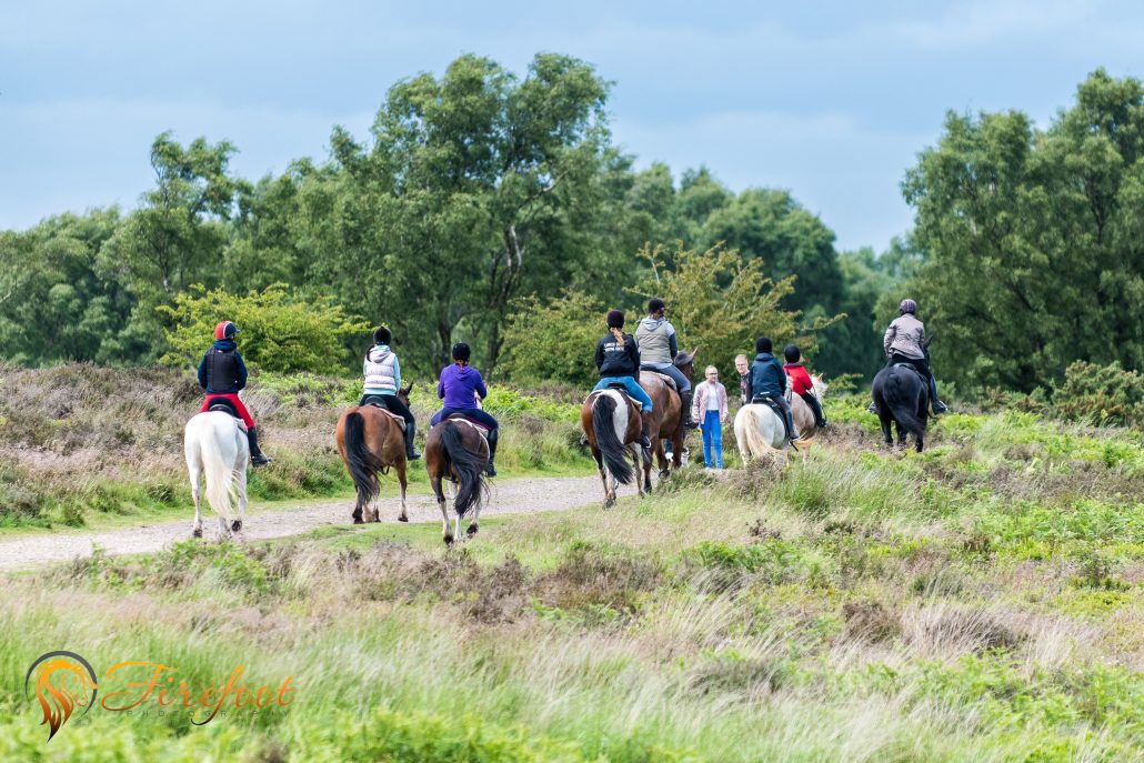 2 Hour Experienced Ride Cannock Chase Trekking Centre