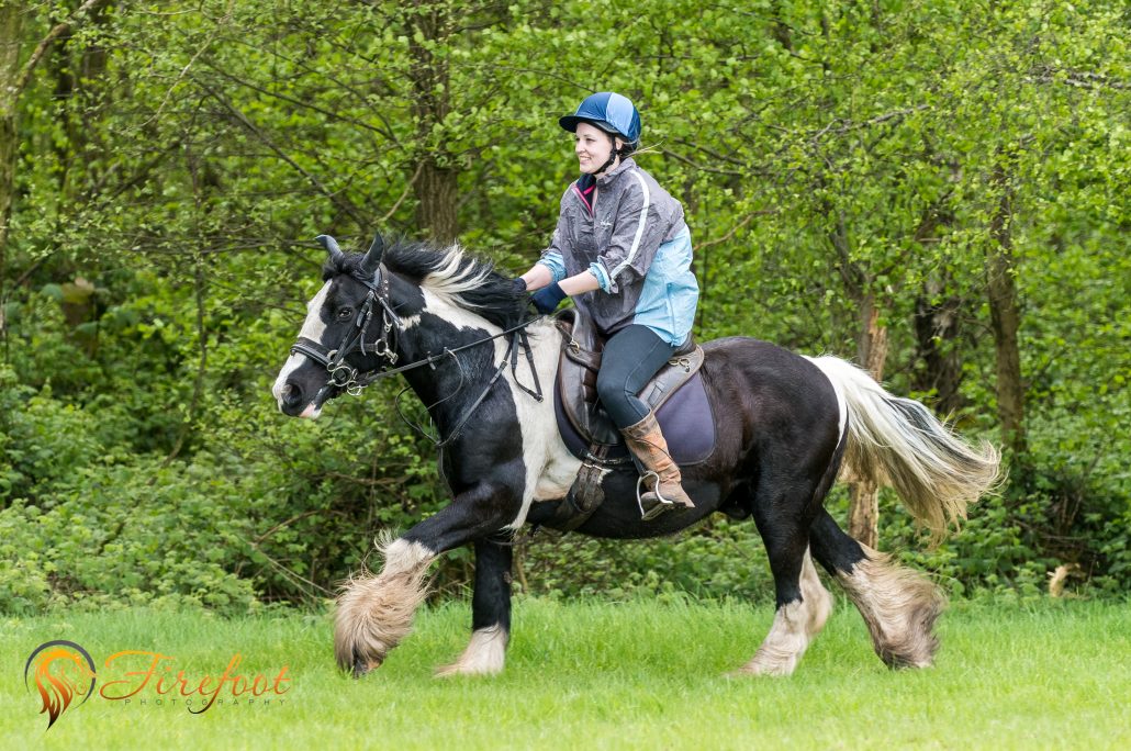 Pirate Cannock Chase Trekking Centre