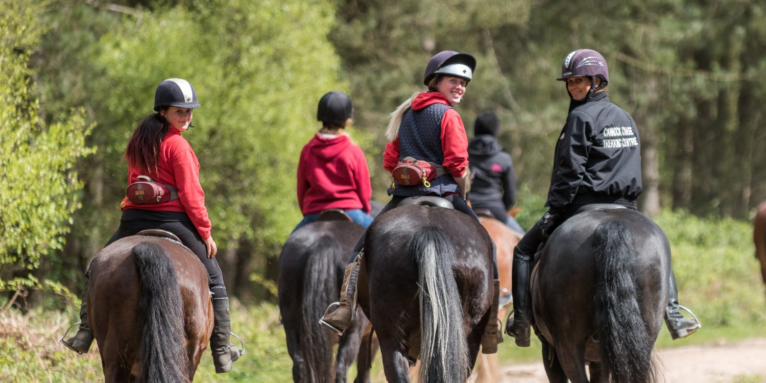 Cannock Chase Trekking Centre The ultimate experience of horse riding