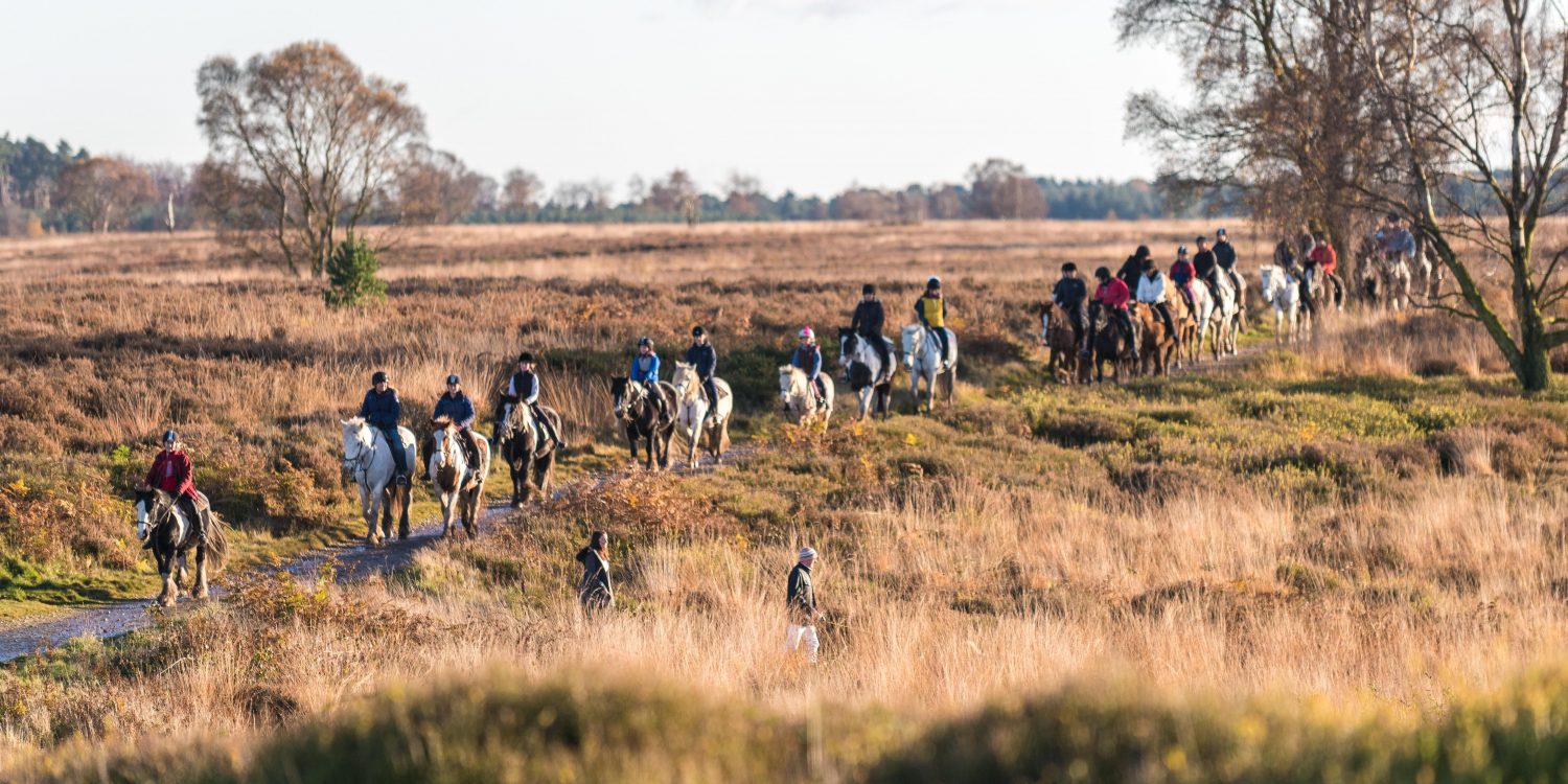 Cannock Chase Trekking Centre The ultimate experience of horse riding