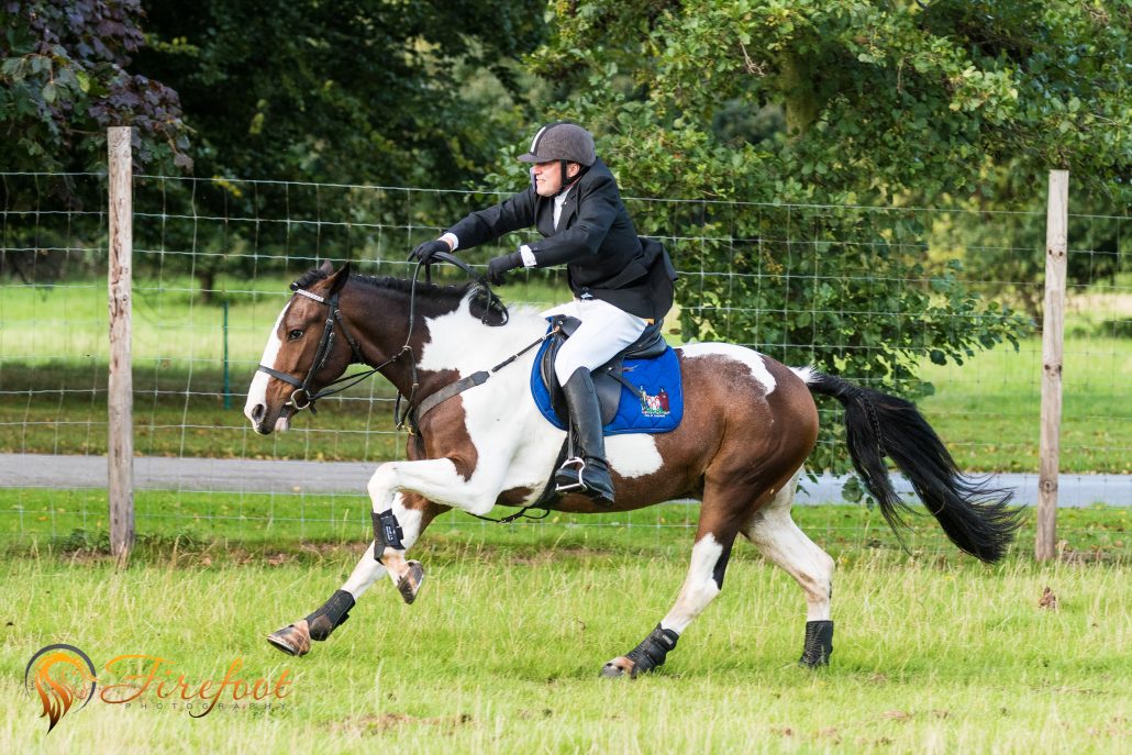 Buttons Cannock Chase Trekking Centre