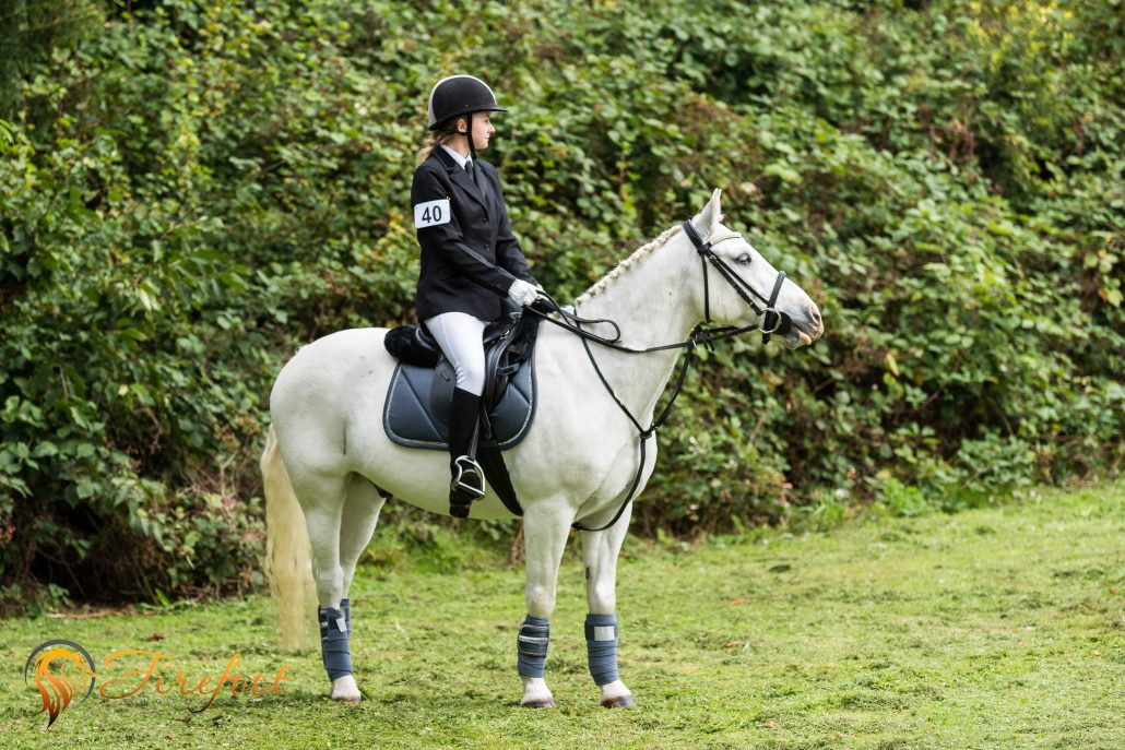 Zeus Cannock Chase Trekking Centre
