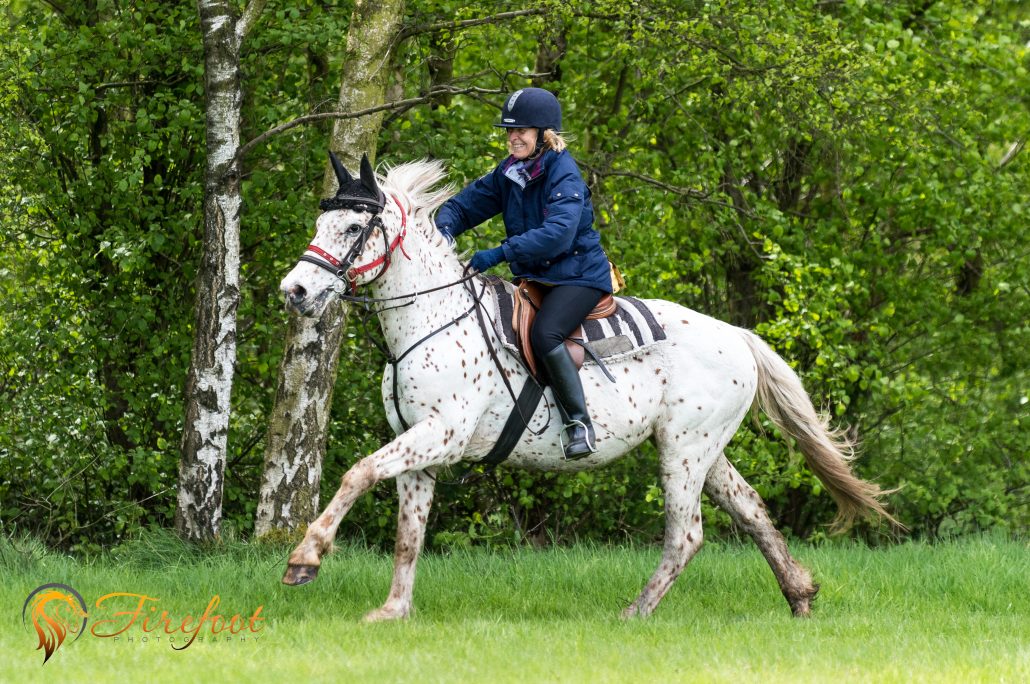 Red Cannock Chase Trekking Centre