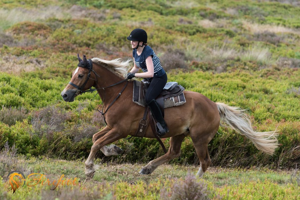 Spirit Cannock Chase Trekking Centre