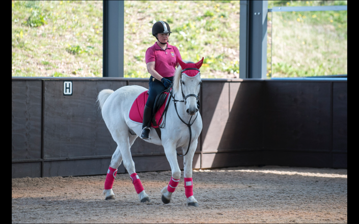 Introduction to Dressage