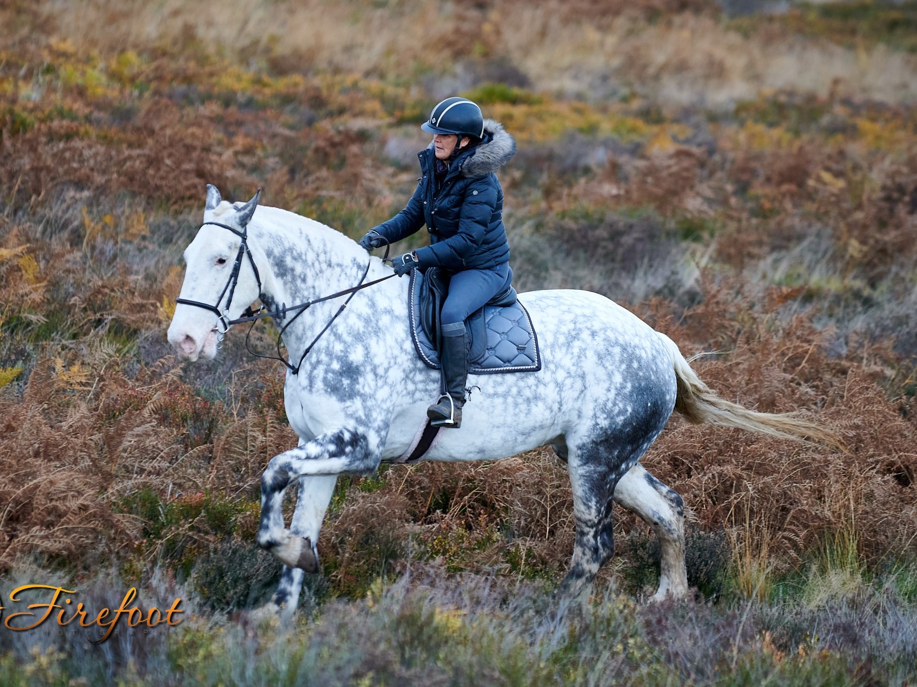 Harper Cannock Chase Trekking Centre